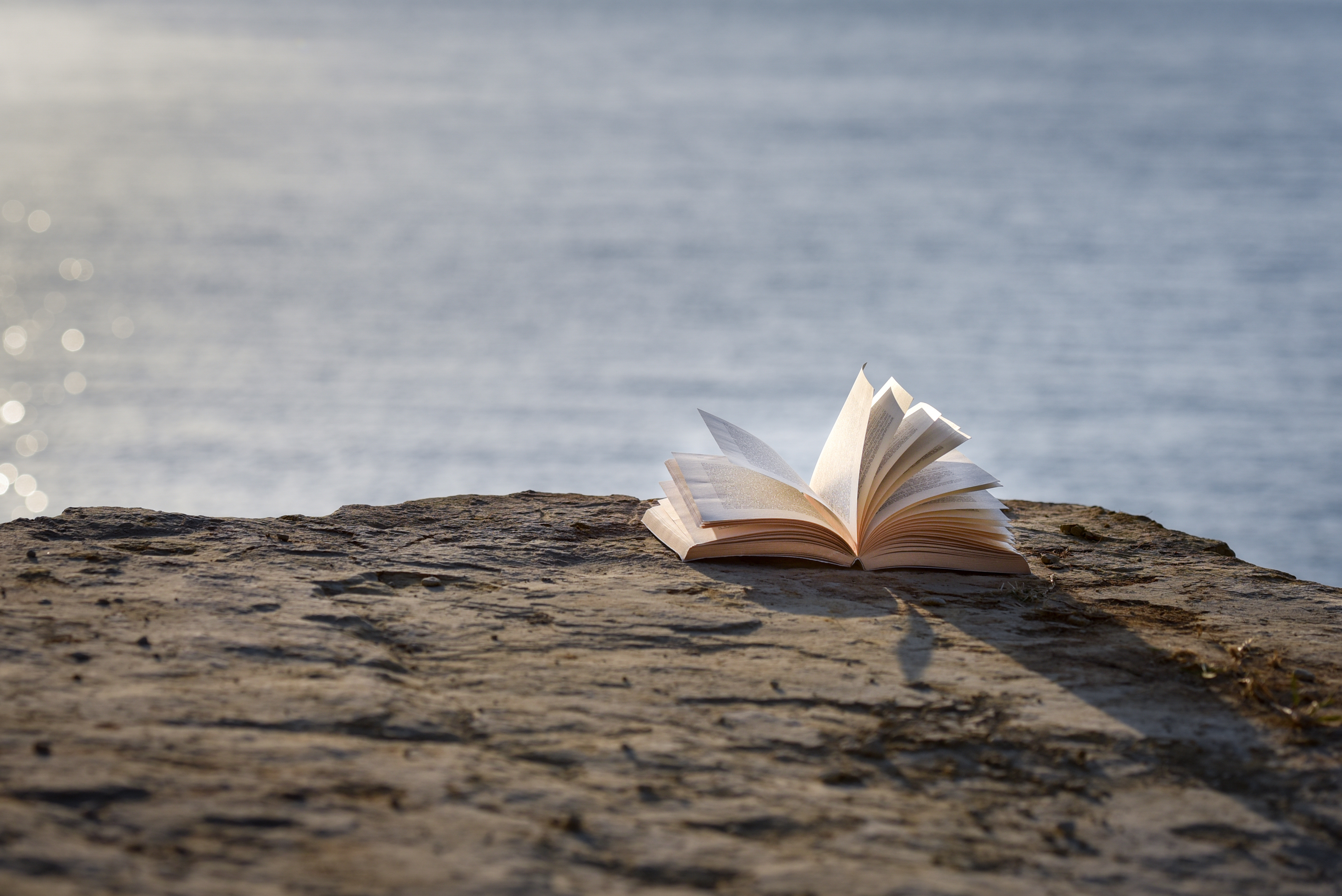 Buchhandlungen mit Magie: 6 Adressen für mehr Inspiration
