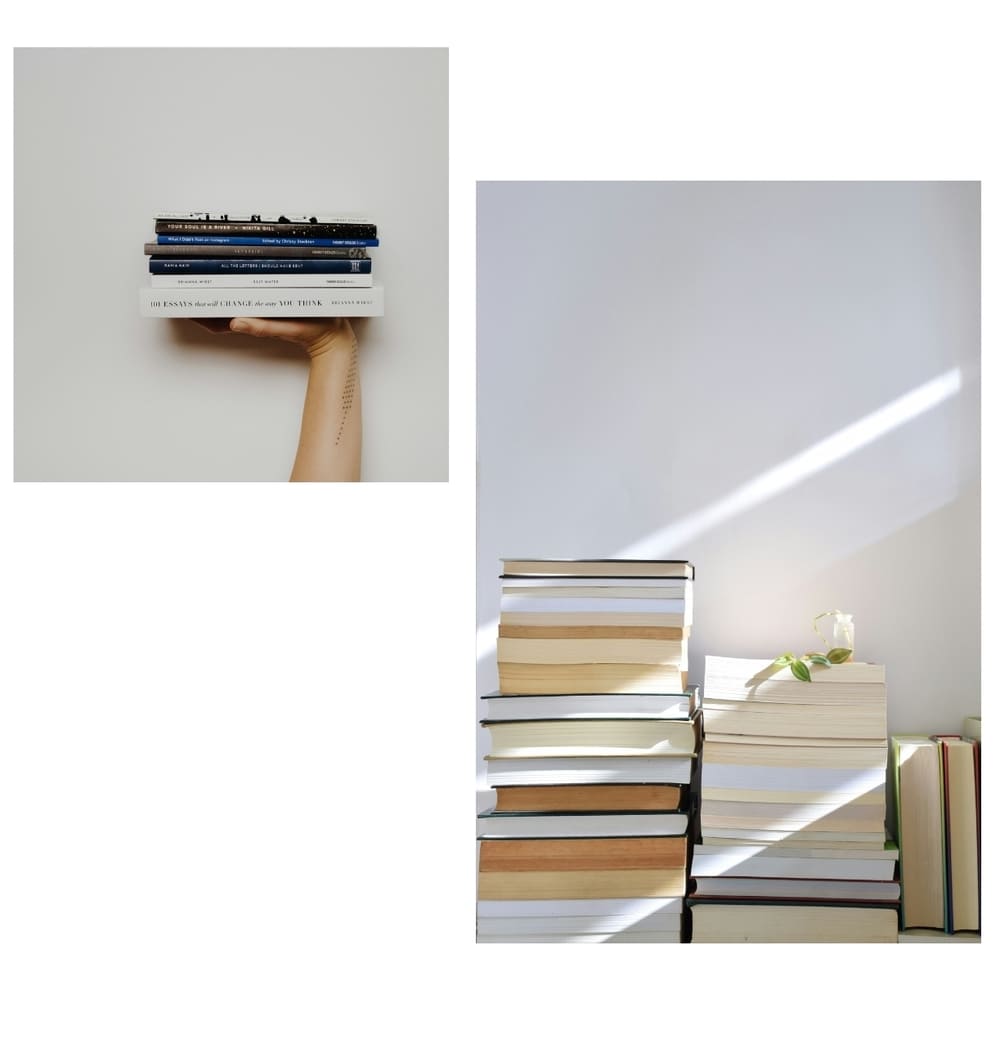 Sommer ist Lesezeit: 5 "Brainfood"-Bücher