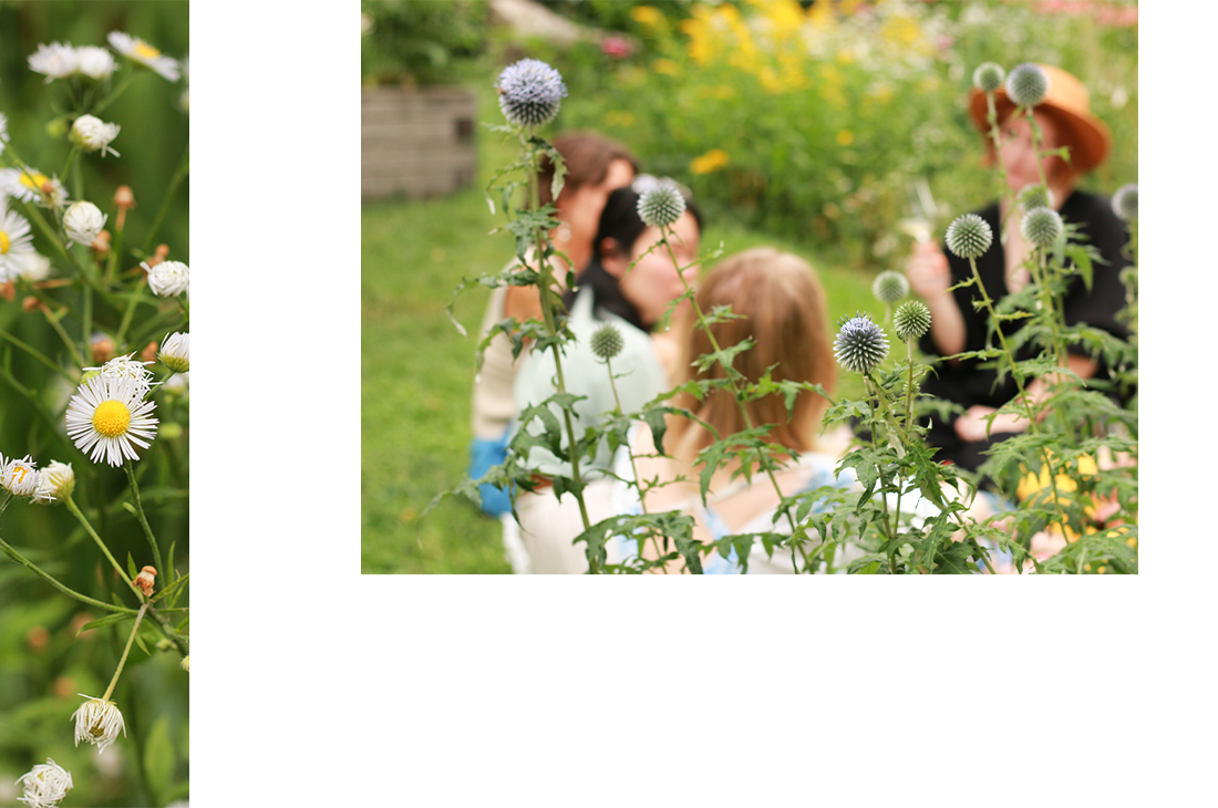 Female Wine Collective