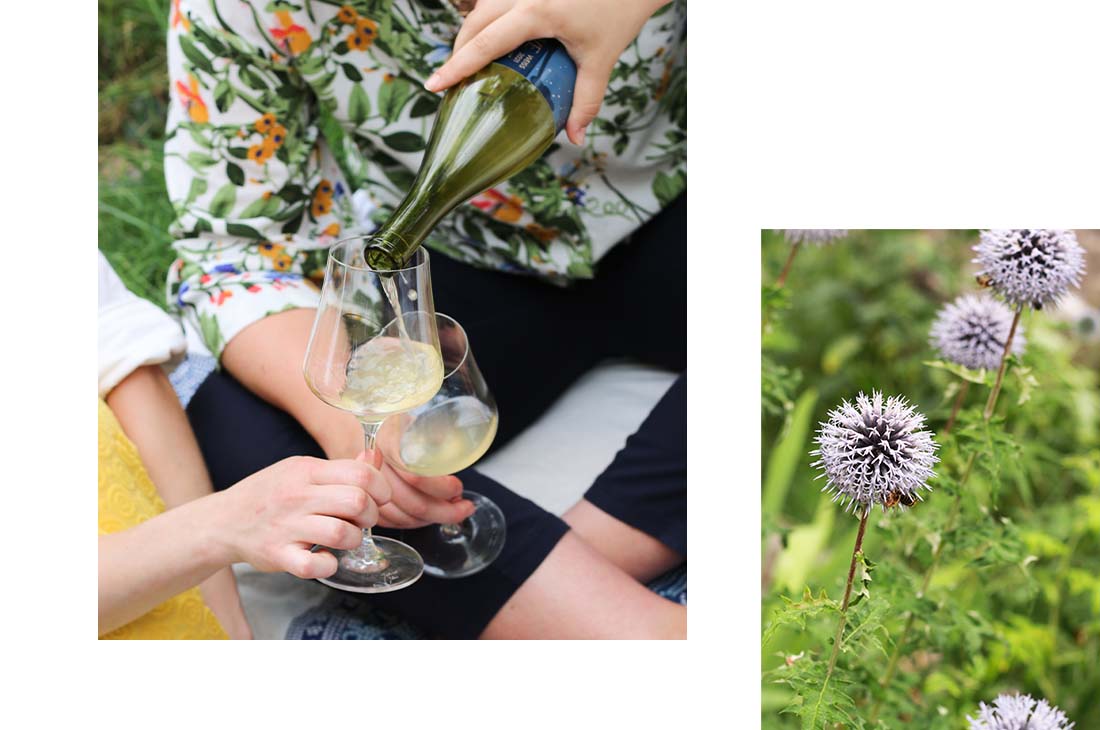 Female Wine Collective